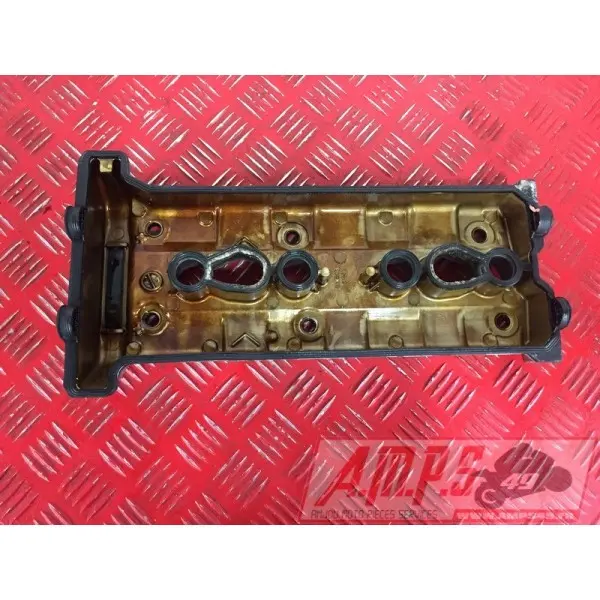 MOTEUR1000fzs - Copie (22) - Copie