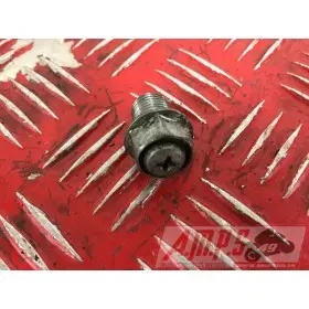 535 Virago - Copie (27)