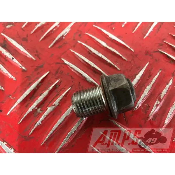 535 Virago - Copie (27)