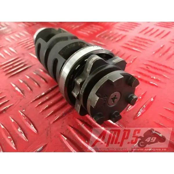 535 Virago - Copie (3)