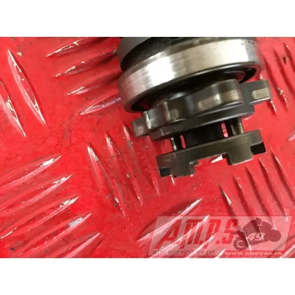 535 Virago - Copie (3)