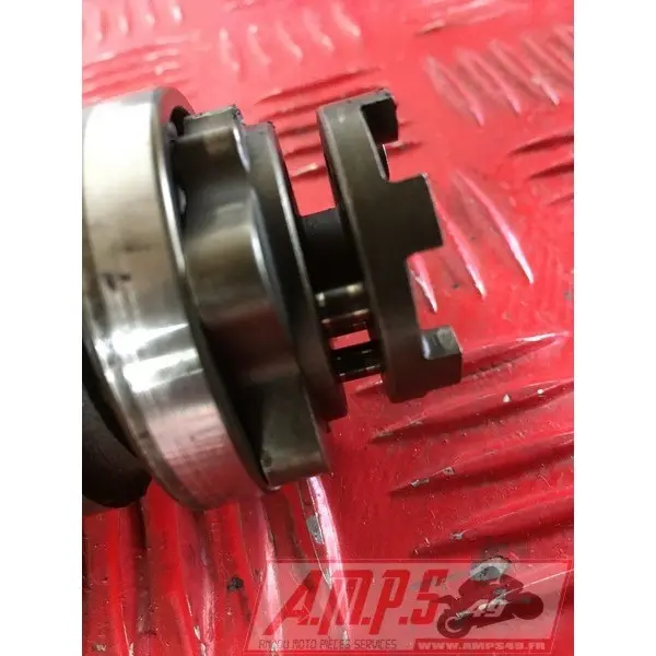 535 Virago - Copie (3)