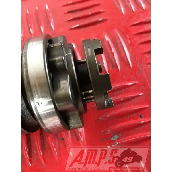 535 Virago - Copie (3)