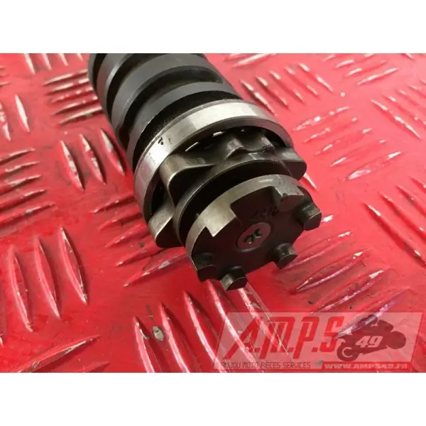 535 Virago - Copie (3)