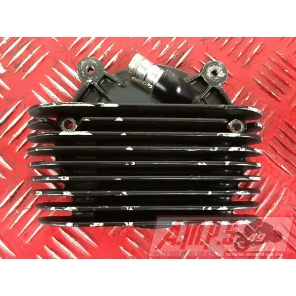 535 Virago - Copie (4)