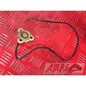 535 Virago - Copie (8)