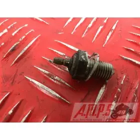 600ZZR ZX600DE - Copie (3)