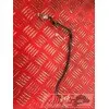 Cable de masse 650 Transalp RD10E
