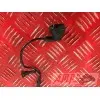 Cable de masse 650 Transalp RD10E