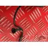 Cable de masse 650 Transalp RD10E
