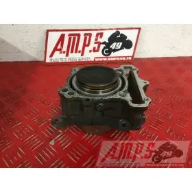 sv650P508 - Copie (17)