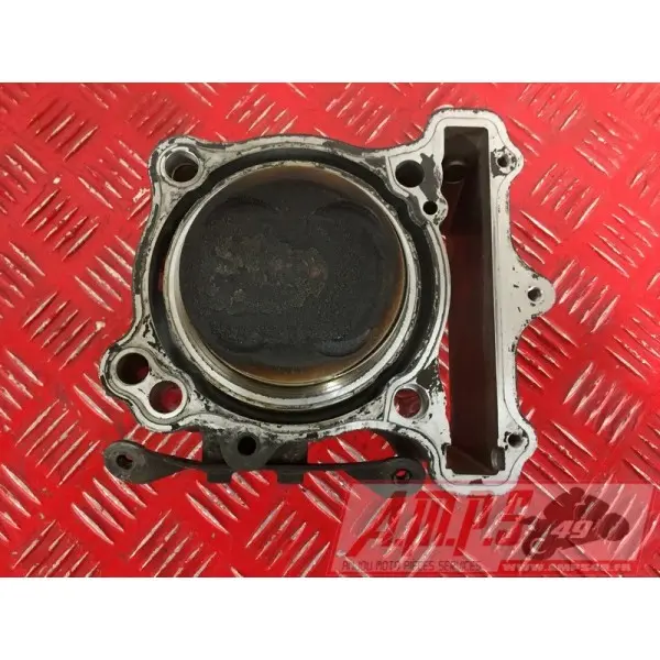 sv650P508 - Copie (17)