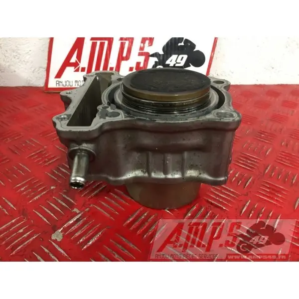 sv650P508 - Copie (17)