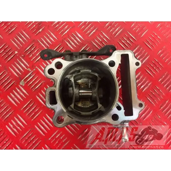 sv650P508 - Copie (17)