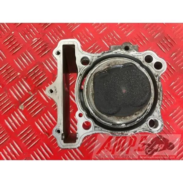 sv650P508 - Copie (9)