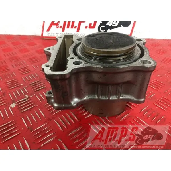 sv650P508 - Copie (9)