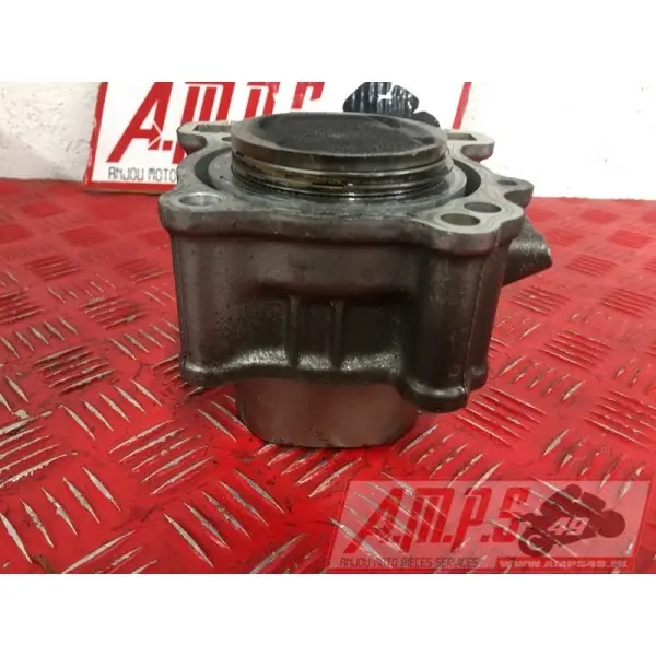 sv650P508 - Copie (9)