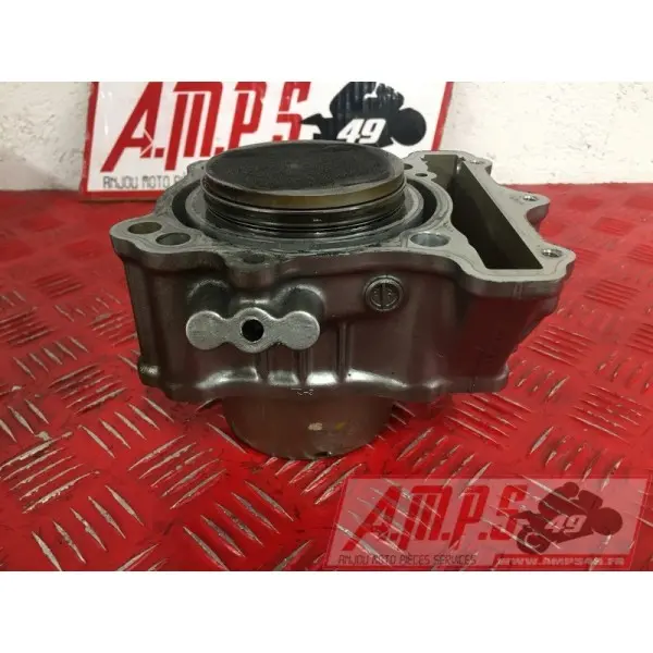 sv650P508 - Copie (9)