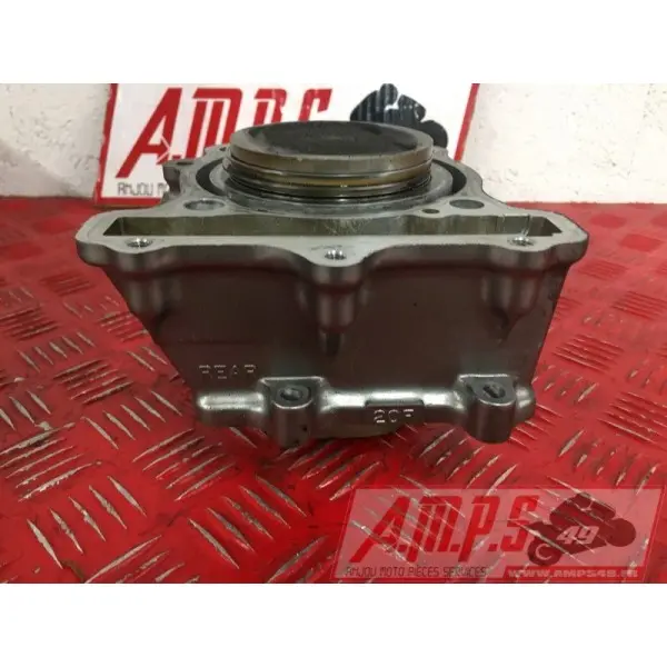 sv650P508 - Copie (9)