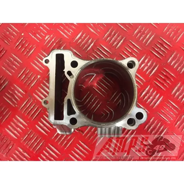 sv650P508 - Copie (9)