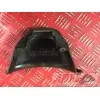 Cache plastique 500 Xciting 2011