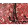 Cable d'accélérateur 500 Xciting 2011
