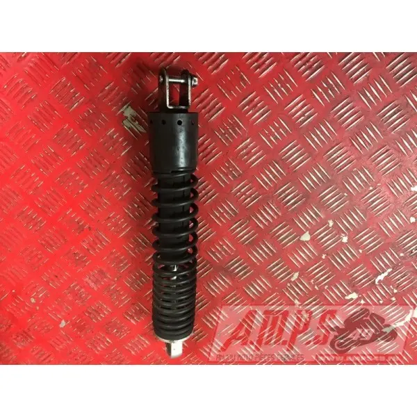 Paire d'amortisseur arrière 500 Xciting 2011