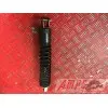 Paire d'amortisseur arrière 500 Xciting 2011