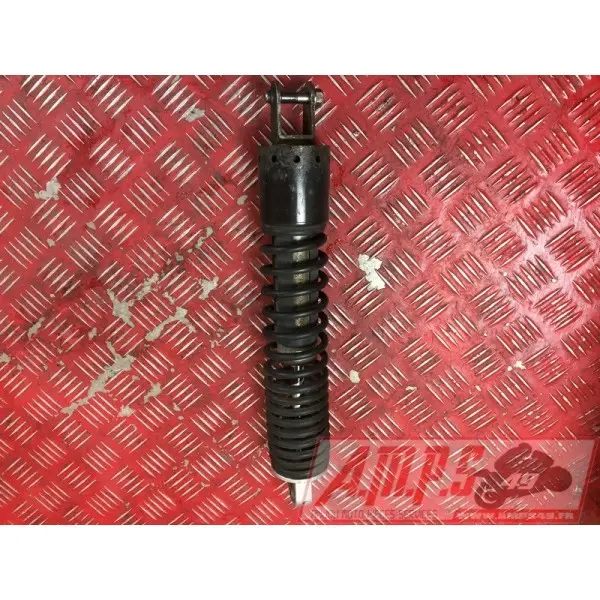 Paire d'amortisseur arrière 500 Xciting 2011