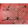 Kit de durite de frein ABS 500 Xciting 2011
