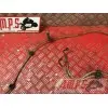 Kit de durite de frein ABS 500 Xciting 2011
