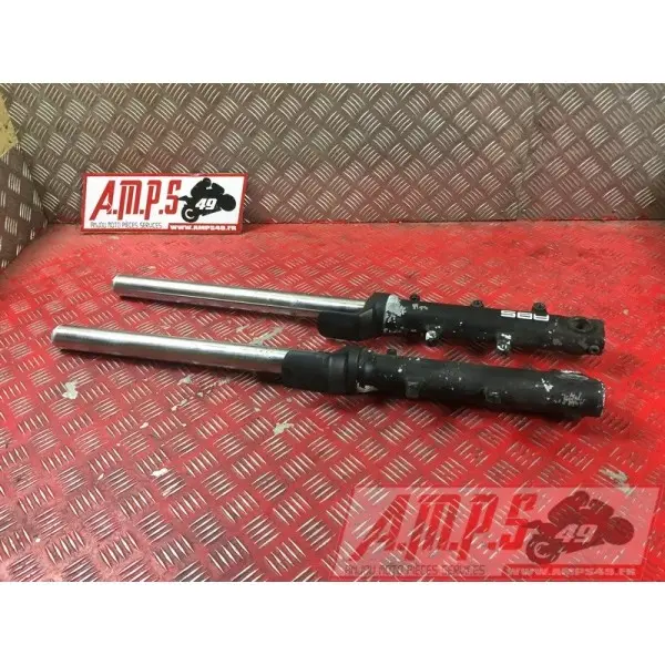 Paire de tube de fourche 500 Xciting 2011