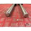 Paire de tube de fourche 500 Xciting 2011