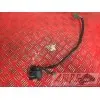 Commodo droit 500 Xciting 2011