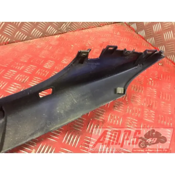 Coquearrière - Copie (111)