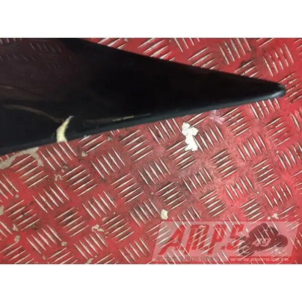 Coquearrière - Copie (118)