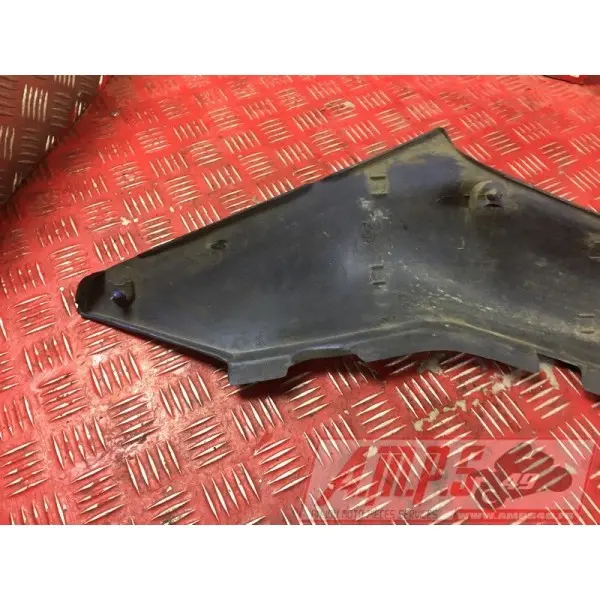 Coquearrière - Copie (30)