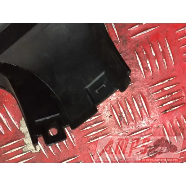 Coquearrière - Copie (63)