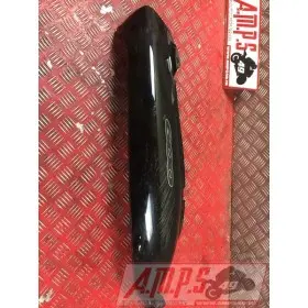 Coquearrière - Copie (66)