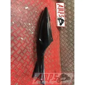 Coquearrière - Copie (72)