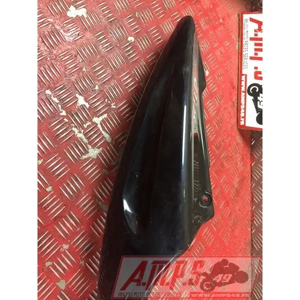 Coquearrière - Copie (72)