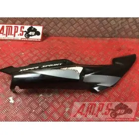 Coquearrière - Copie (77)