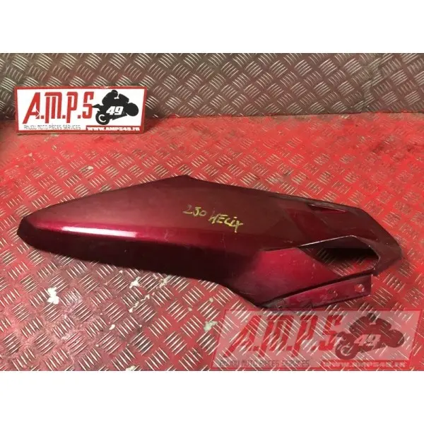 Coquearrière - Copie (79)