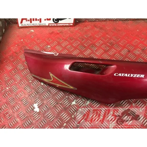 Coquearrière - Copie (91)