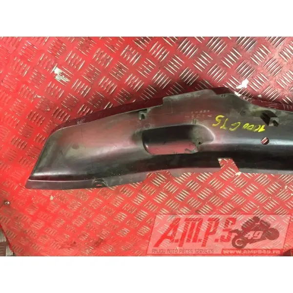 Coquearrière - Copie (91)