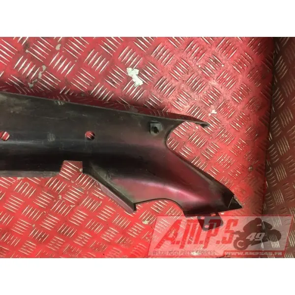 Coquearrière - Copie (91)