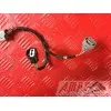 ELECTRICITE PAN EURO - Copie (9)