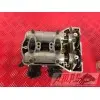 MOTEUR1300pan - Copie (18)