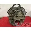 MOTEUR1300pan - Copie (19)