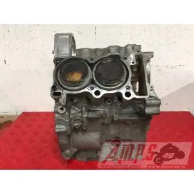 MOTEUR1300pan - Copie (19)